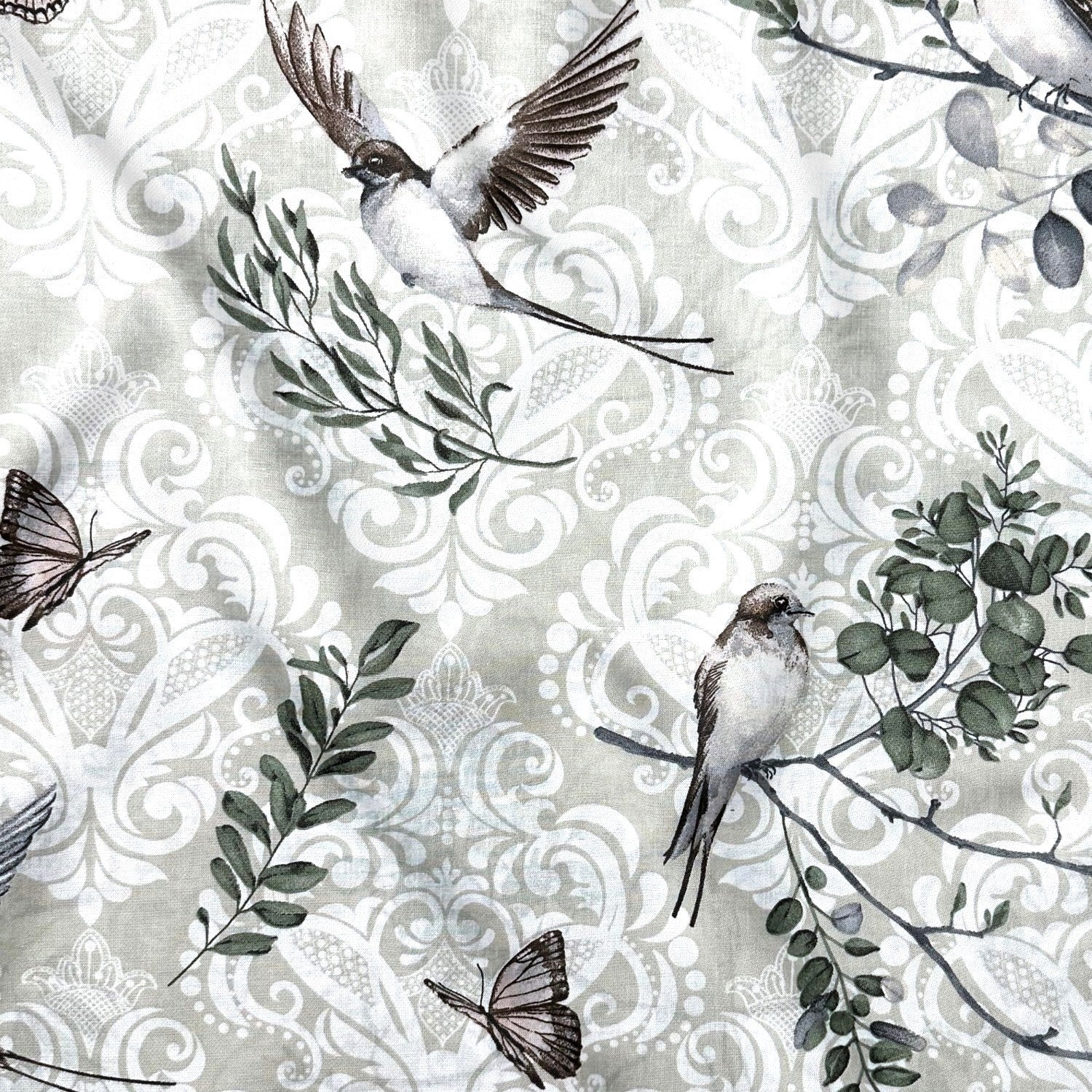Cotton Fabric - Sparrows and Twigs