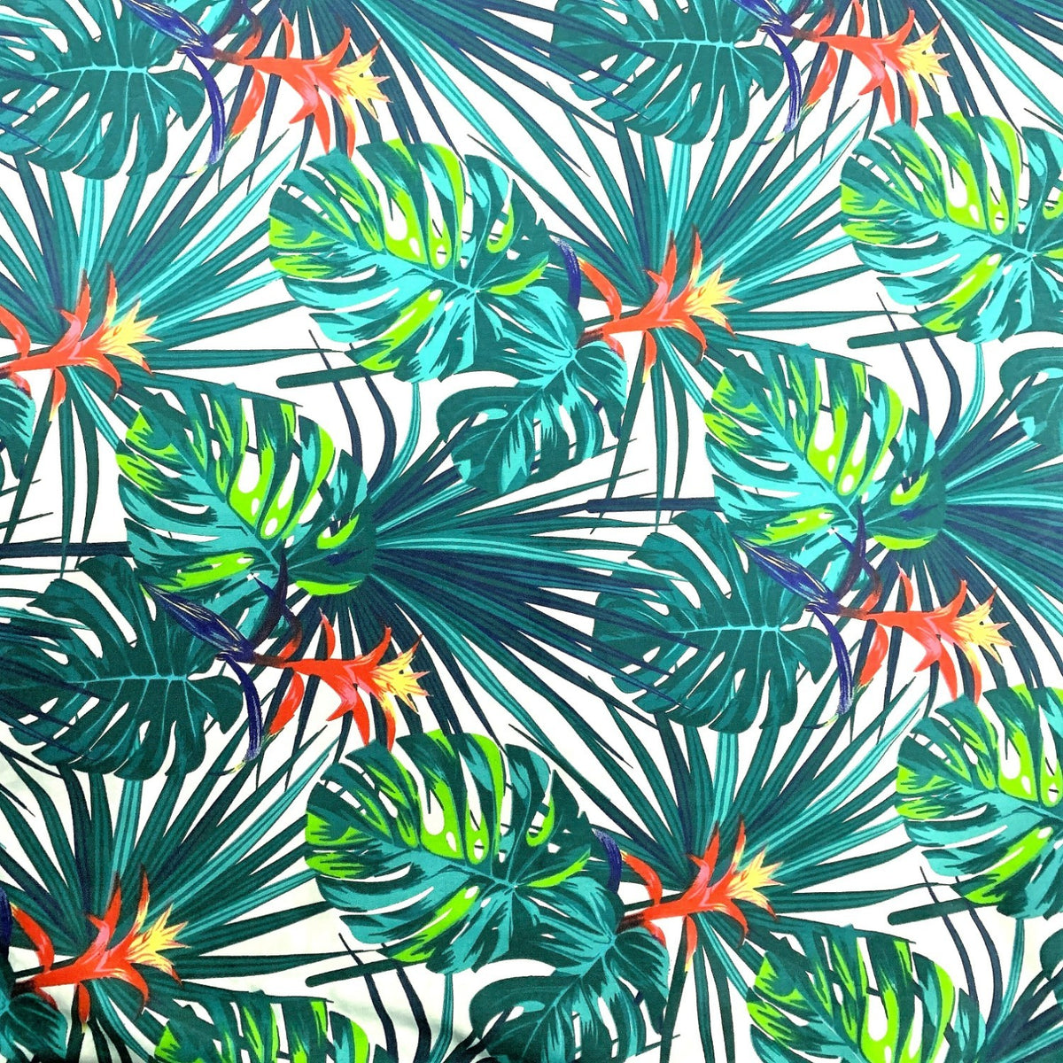 Cotton Fabric - Tropical Monstera