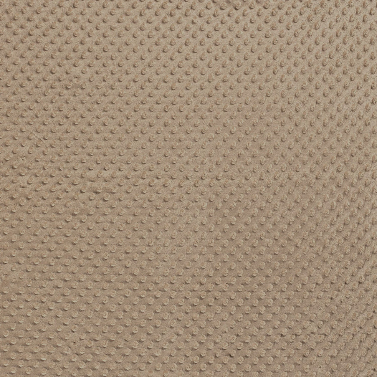 Minky Fabric 300 g - Cappuccino