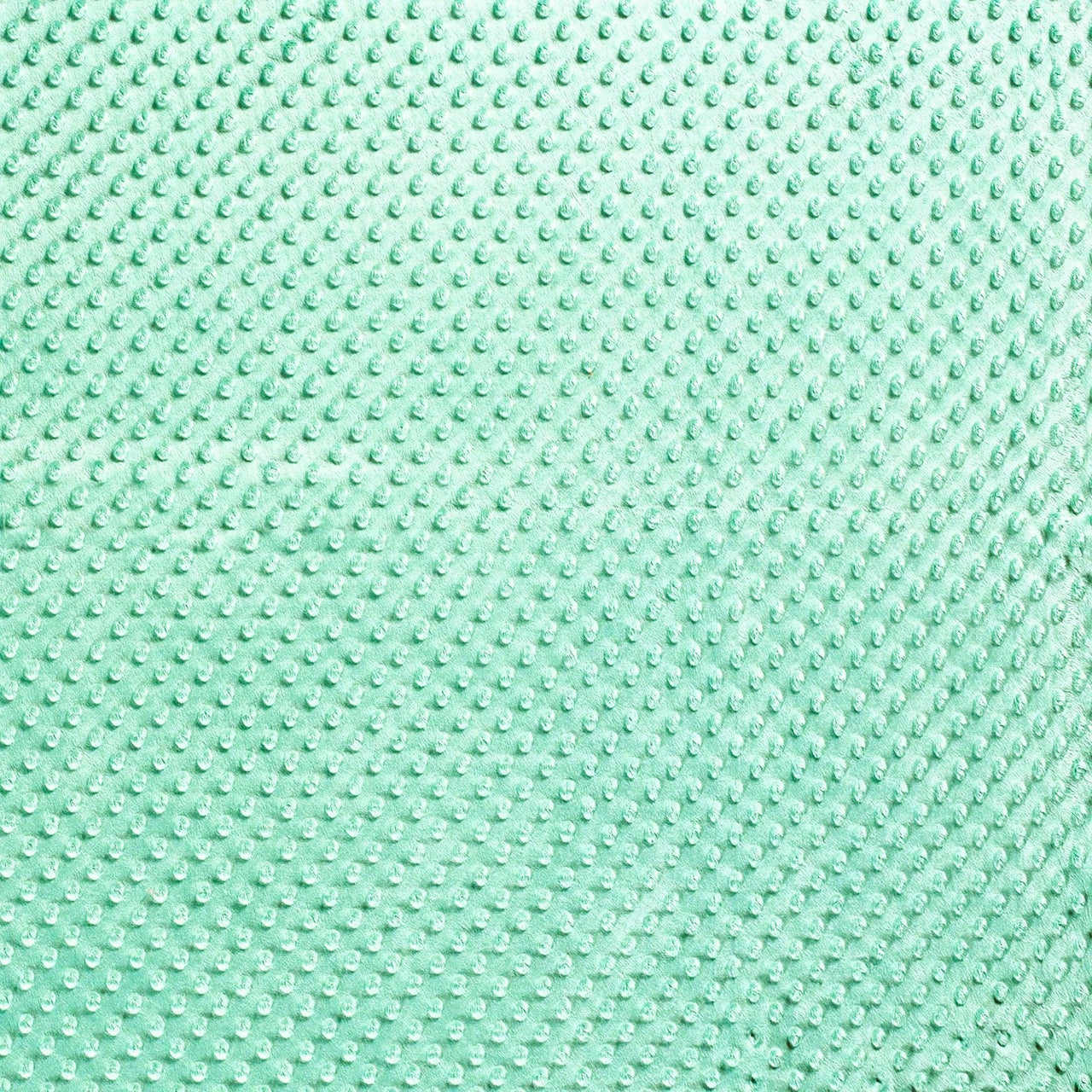 Minky Fabric 300 g - Mint